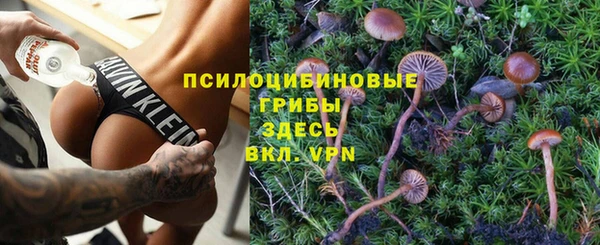 ALPHA PVP Алексин