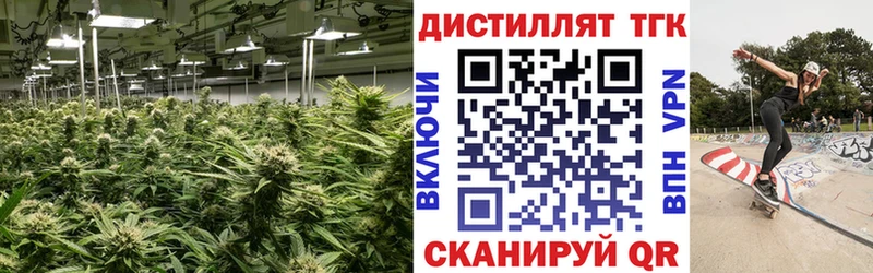 Дистиллят ТГК жижа  Купить где  Темрюк 